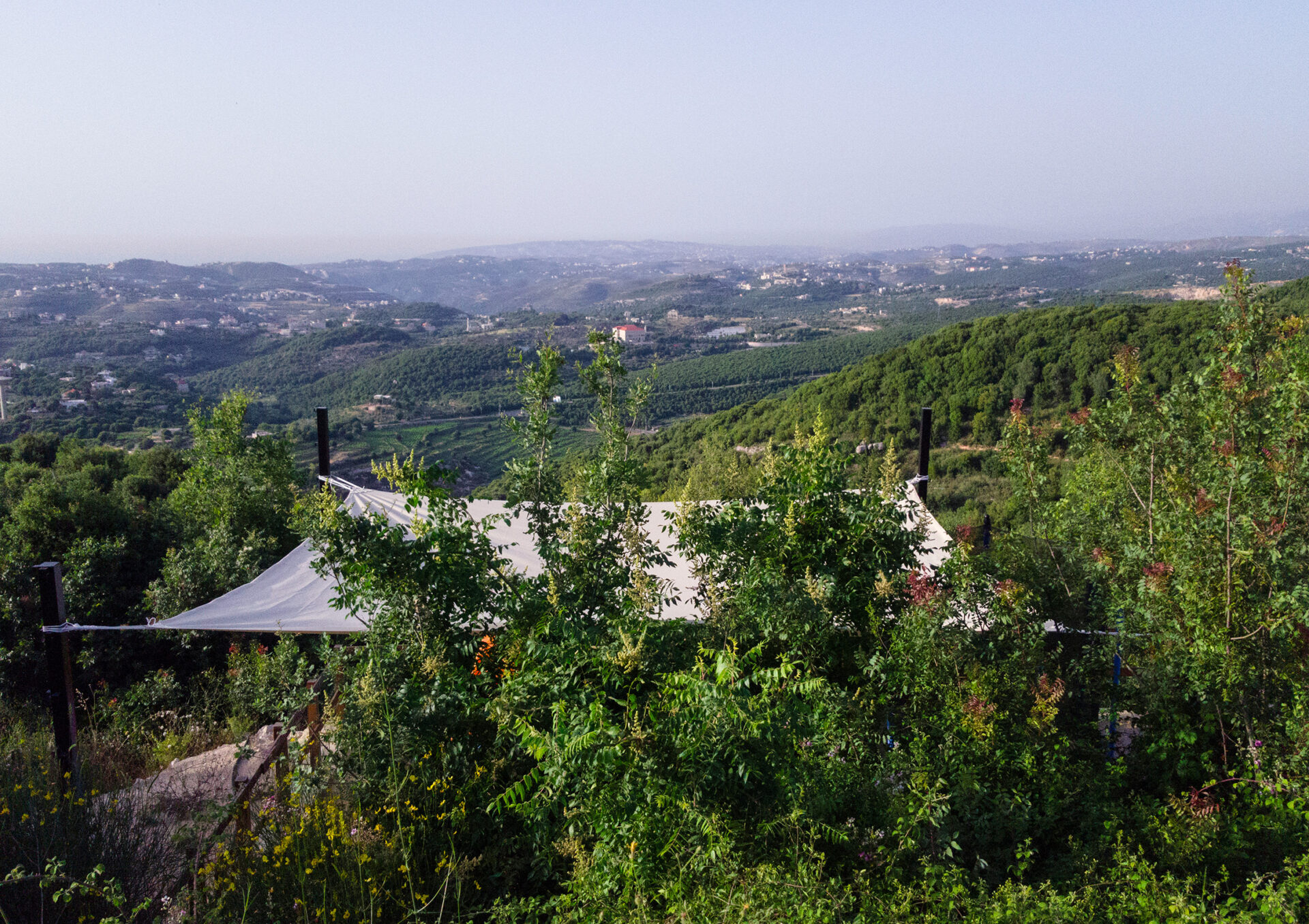 Abdelli Terraces