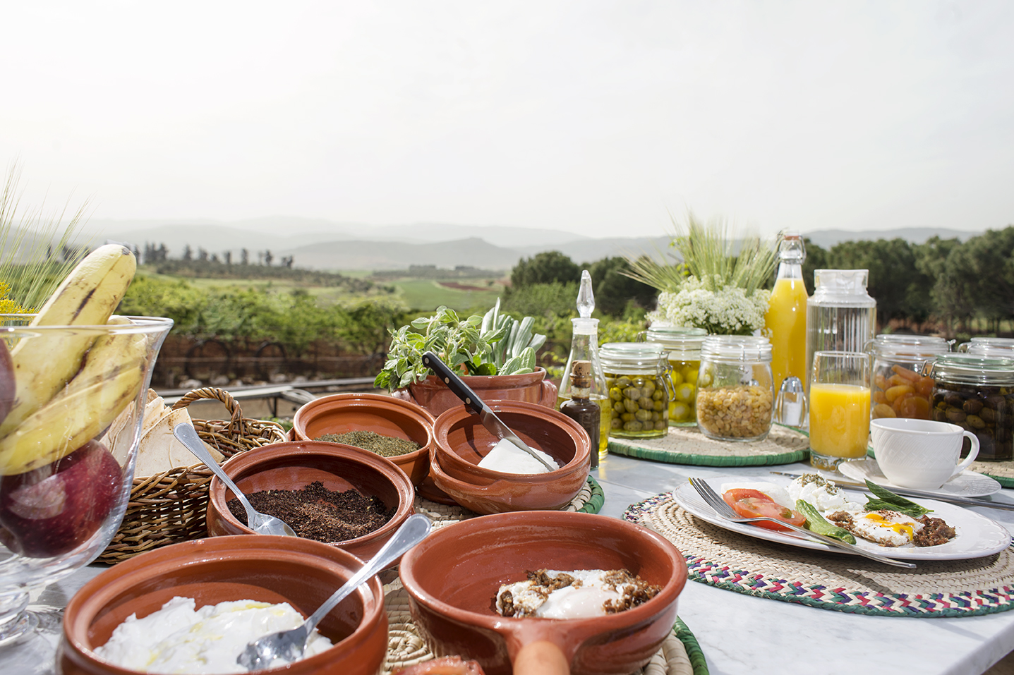 Chambre d'hôtes vallée de la Bekaa
