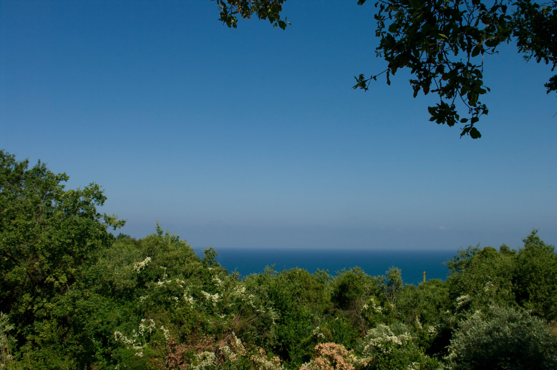 Mediterranean coast Batroun