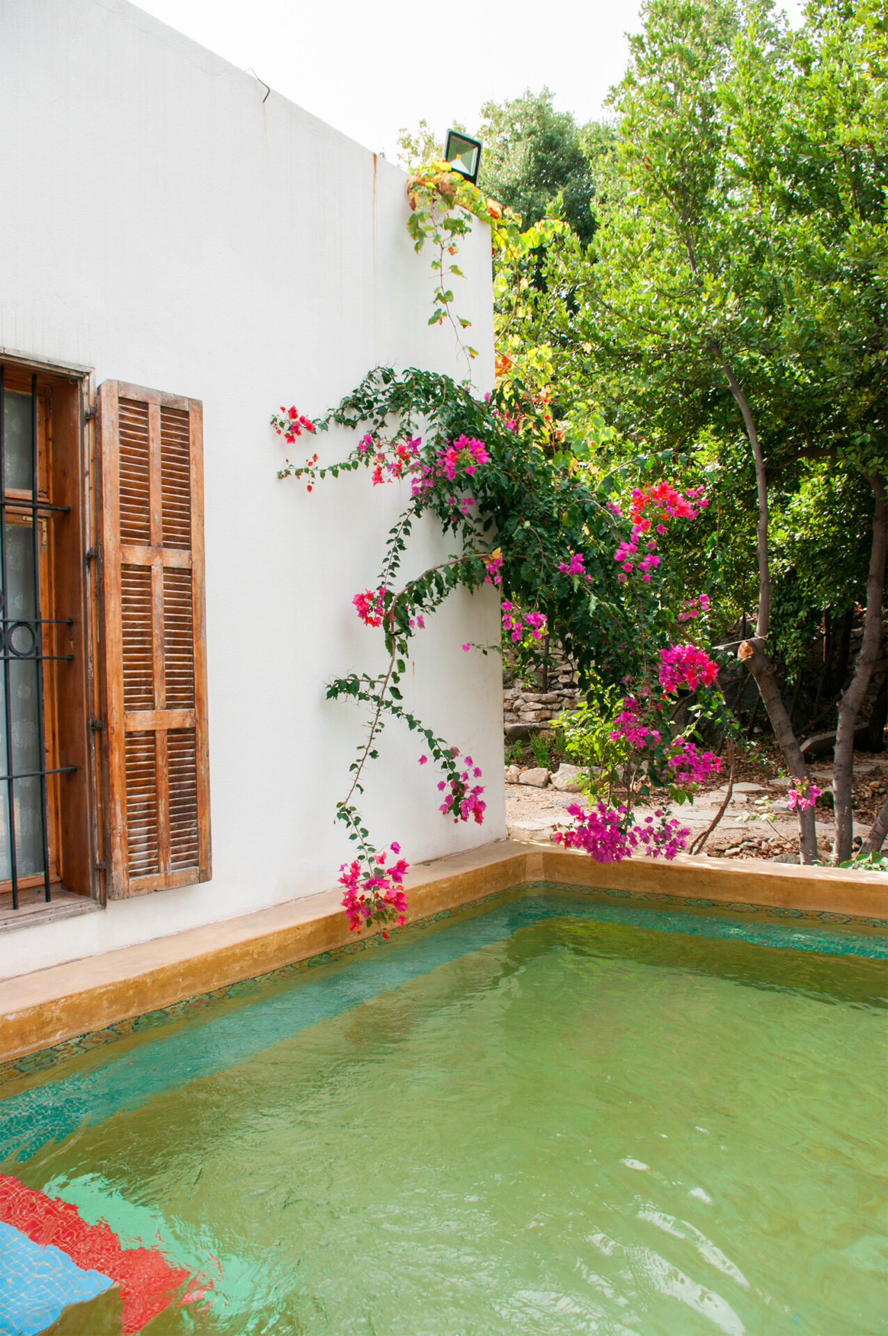 Batroun garden