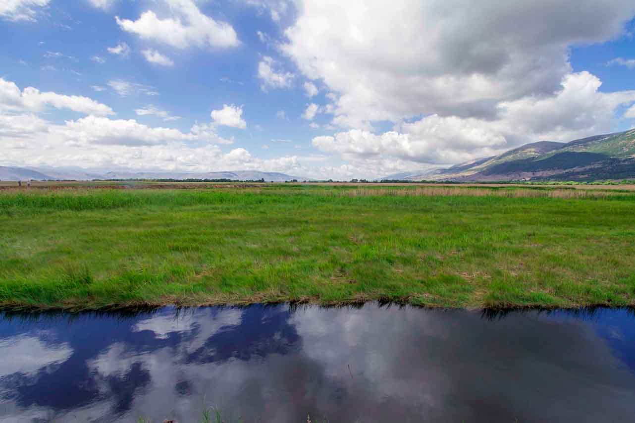Bekaa Liban