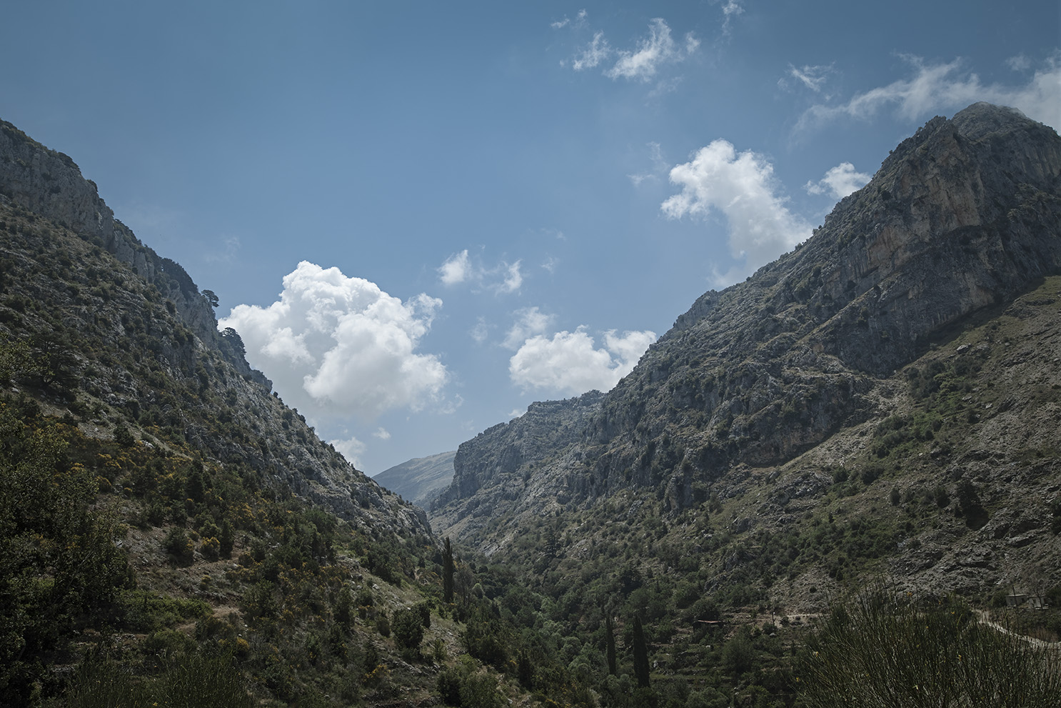 Hiking Lebanon