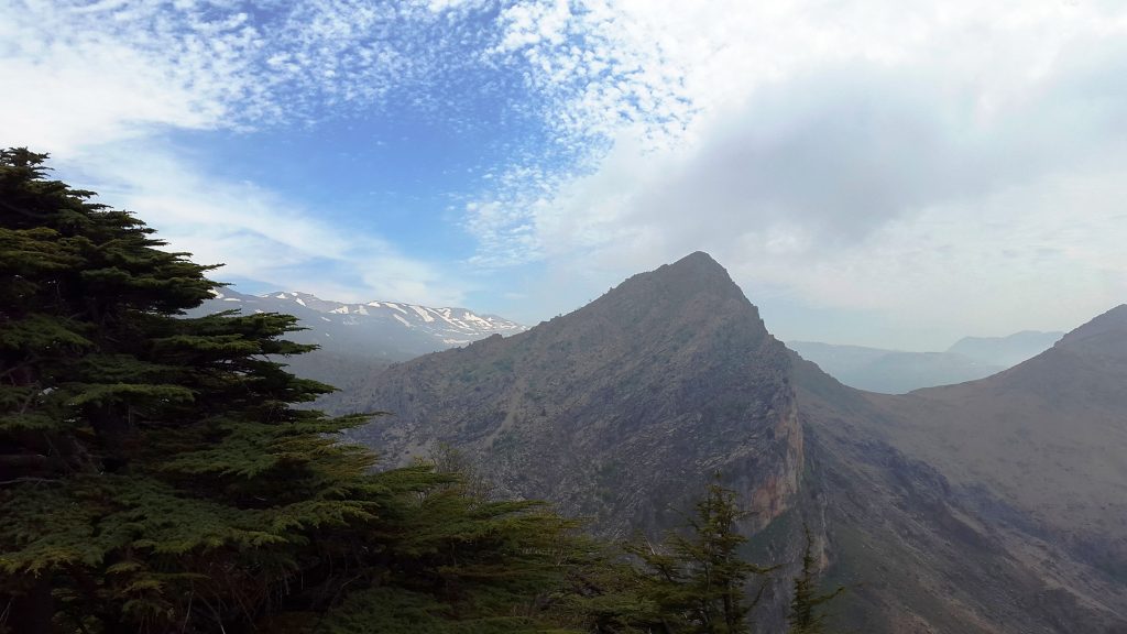Tannourine cedar reserve, Lebanon