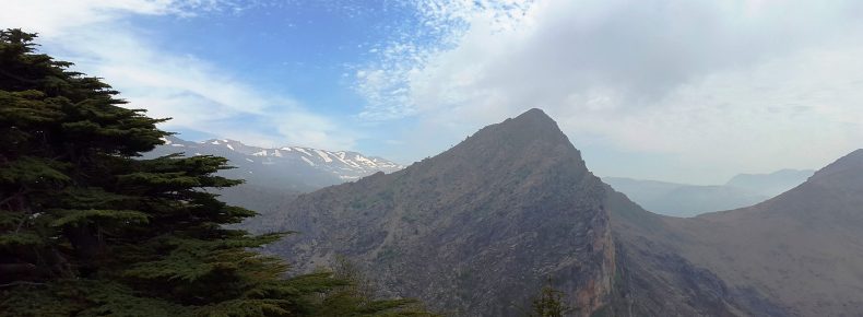 Tannourine cedar reserve, Lebanon