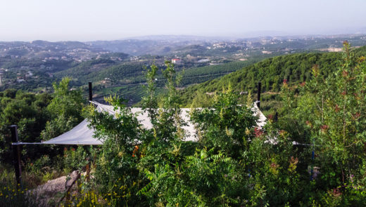 Transfer from Beirut airport to Abdelli, Lebanon