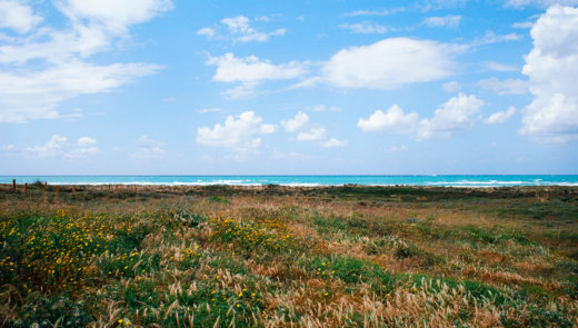 Transfer from Beirut airport to Tyre, Lebanon