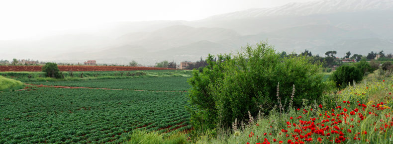 Agritourism and ecotourism in Lebanon