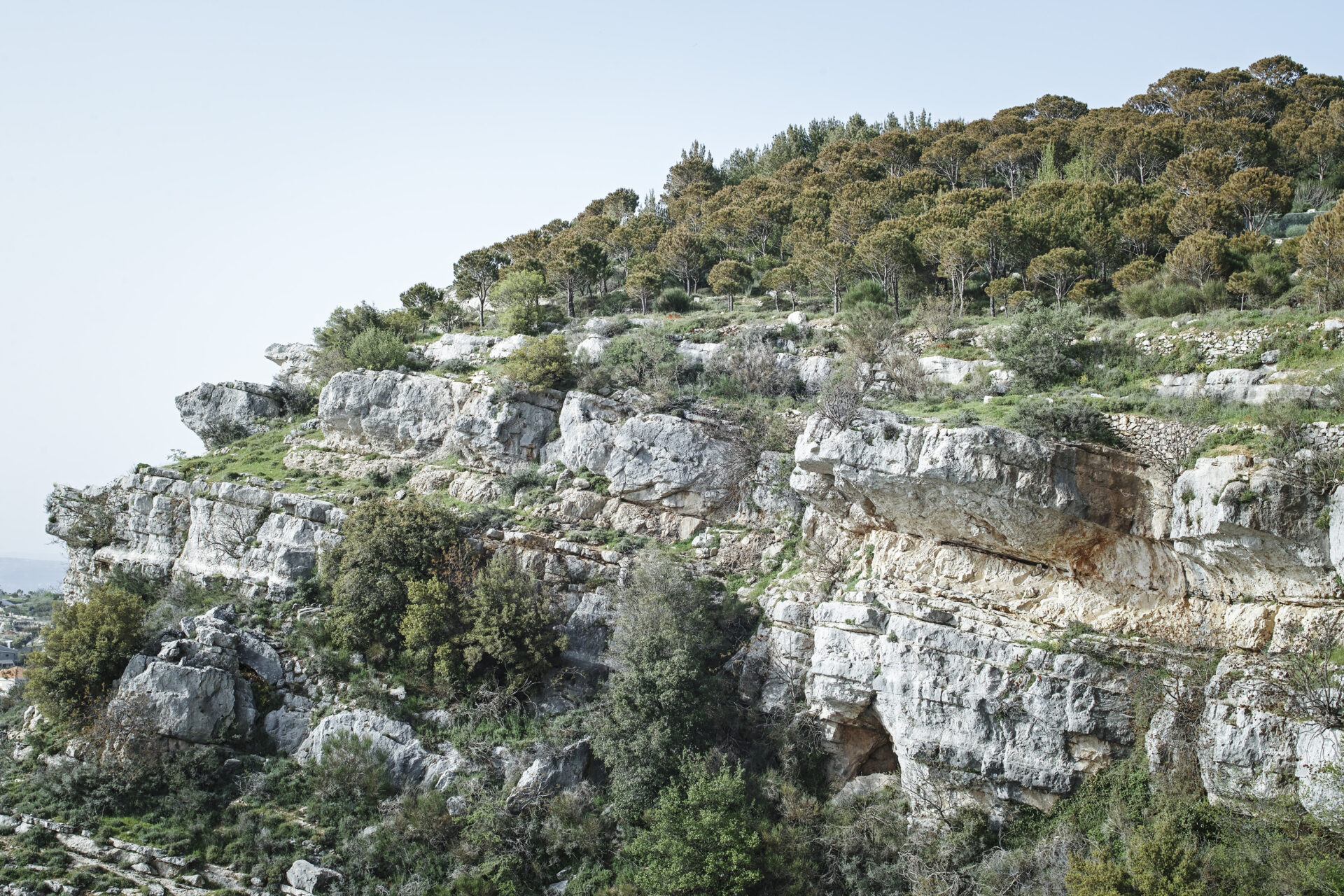 Guided tours in Lebanon
