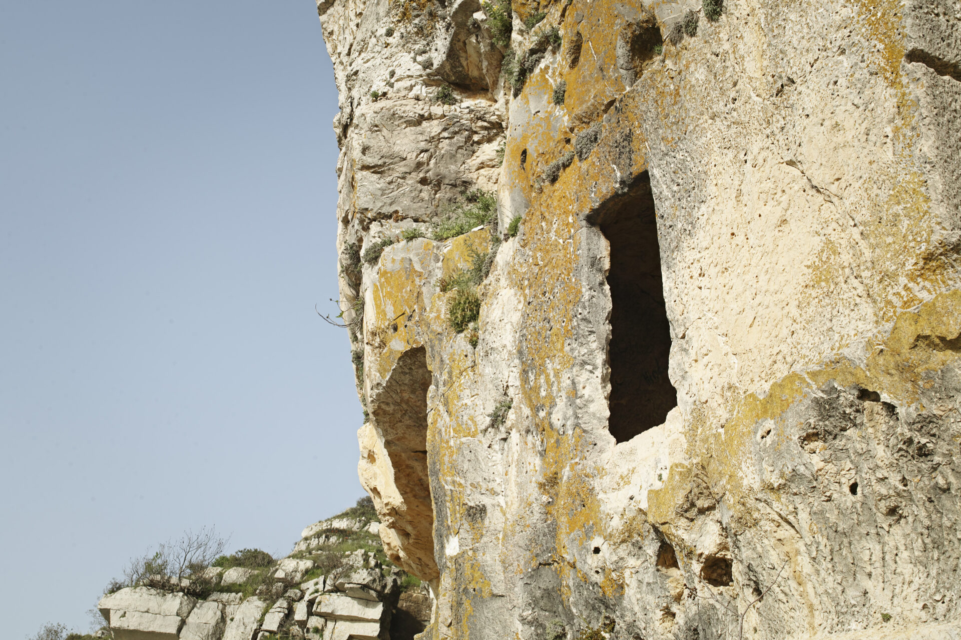 Sud Liban