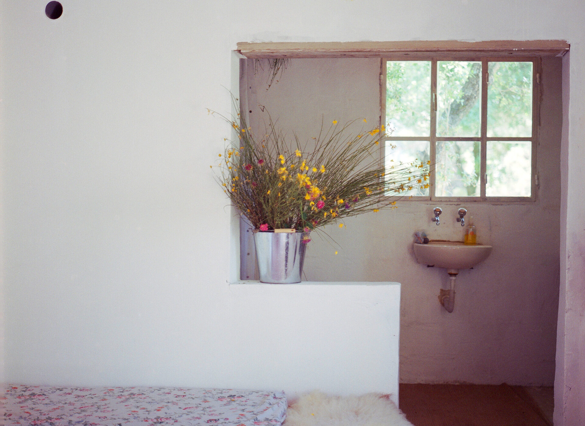 Thyme Room, Saqi Guesthouse