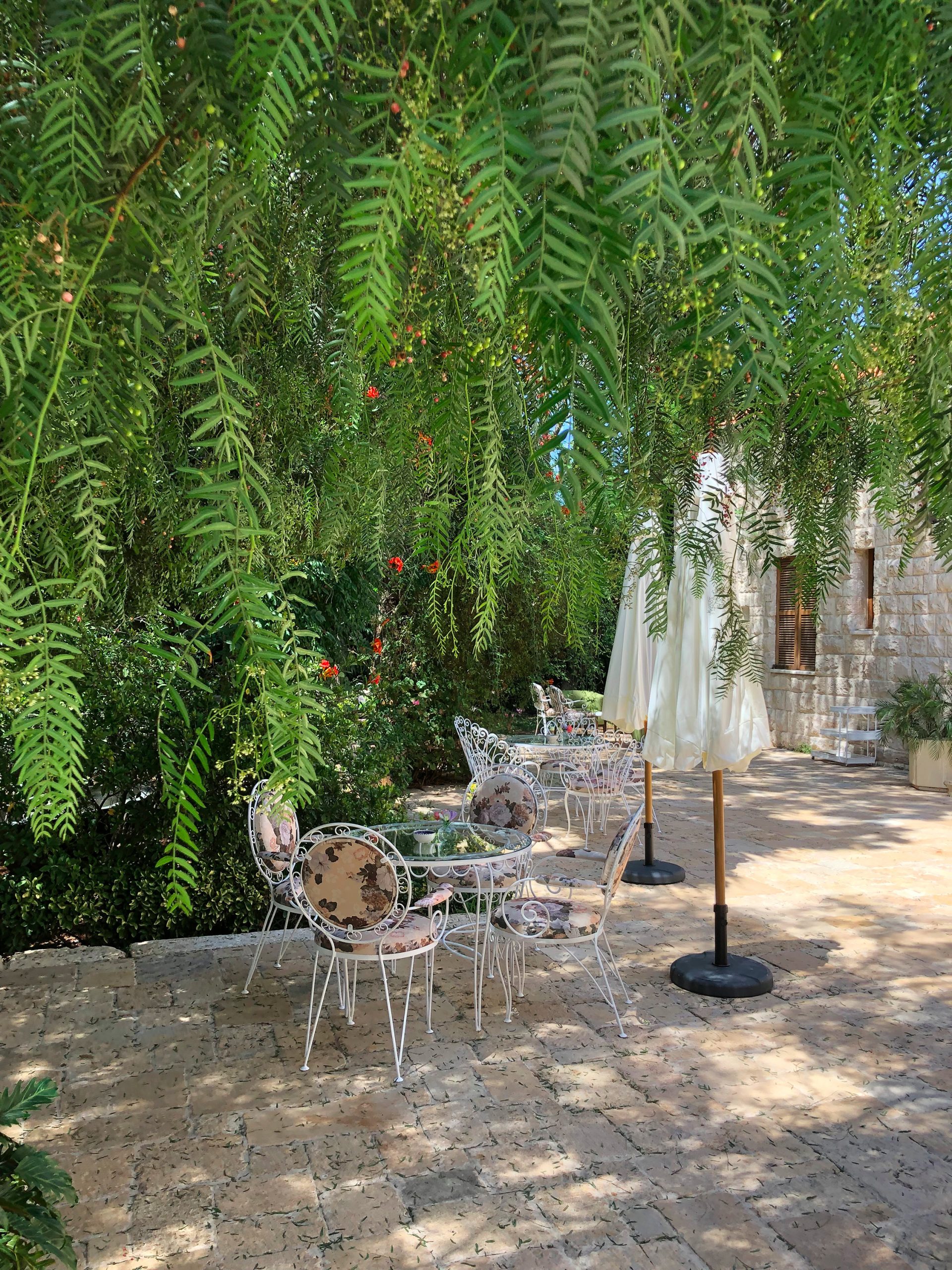 Dar Zefta's Garden