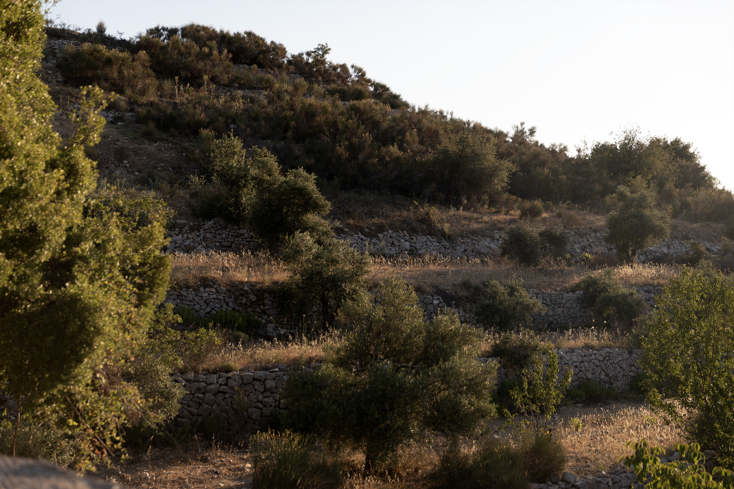 Beit Noun
