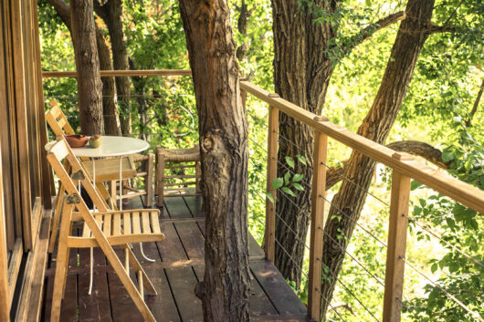 Treehouse at Guita Guesthouse