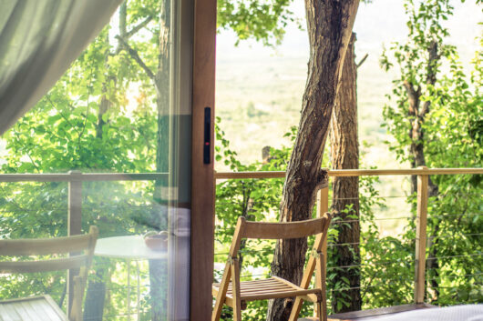 Cabane dans les arbres au Liban